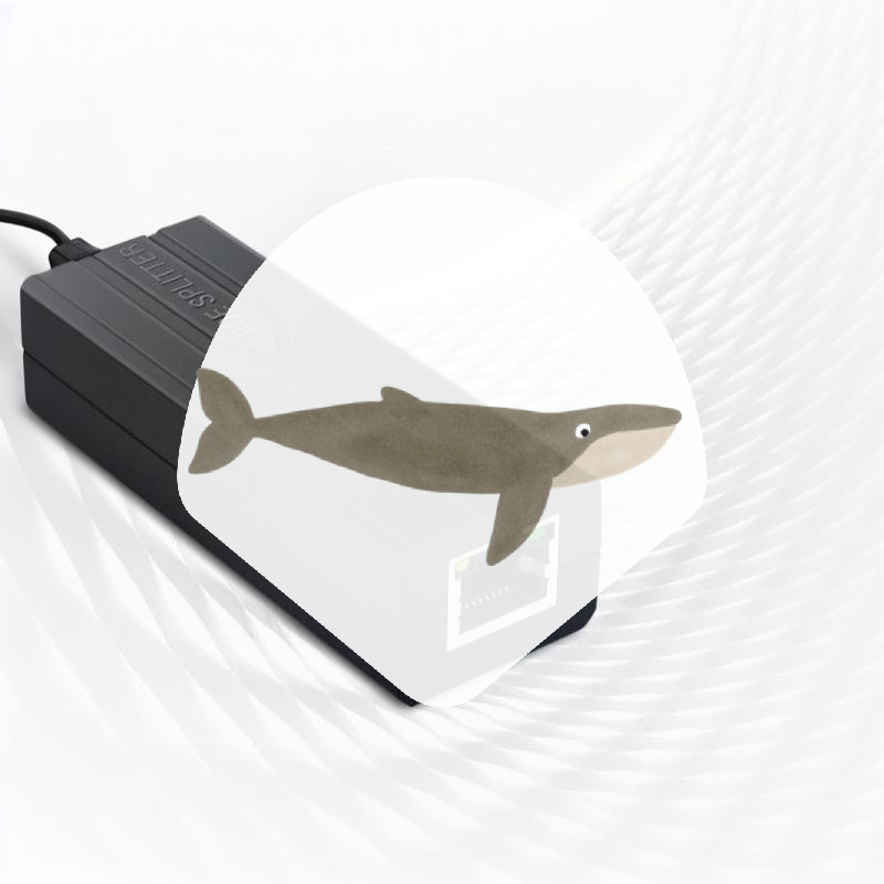 Power Over Ethernet - مقسم طاقة عبر الإيثرنت 48 فولت